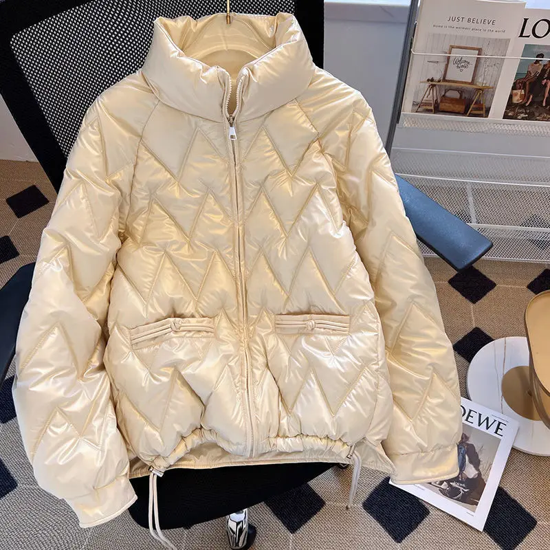 2024 Autumn/Winter New Women's Standing Neck Down Cotton Coat Retro Straight Jacket