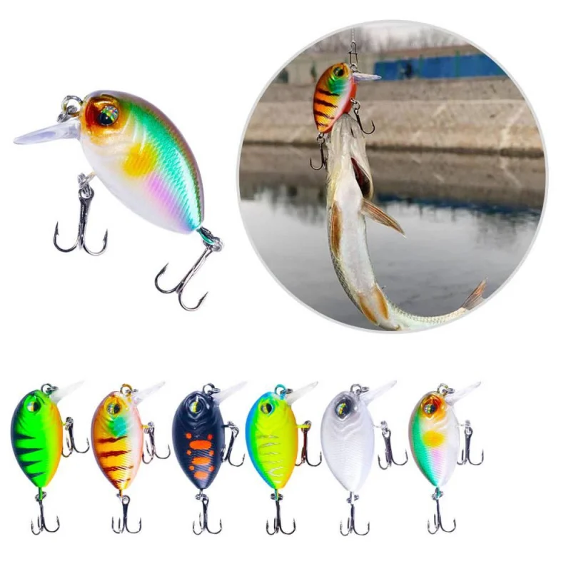 Rock Little Fat Fis…