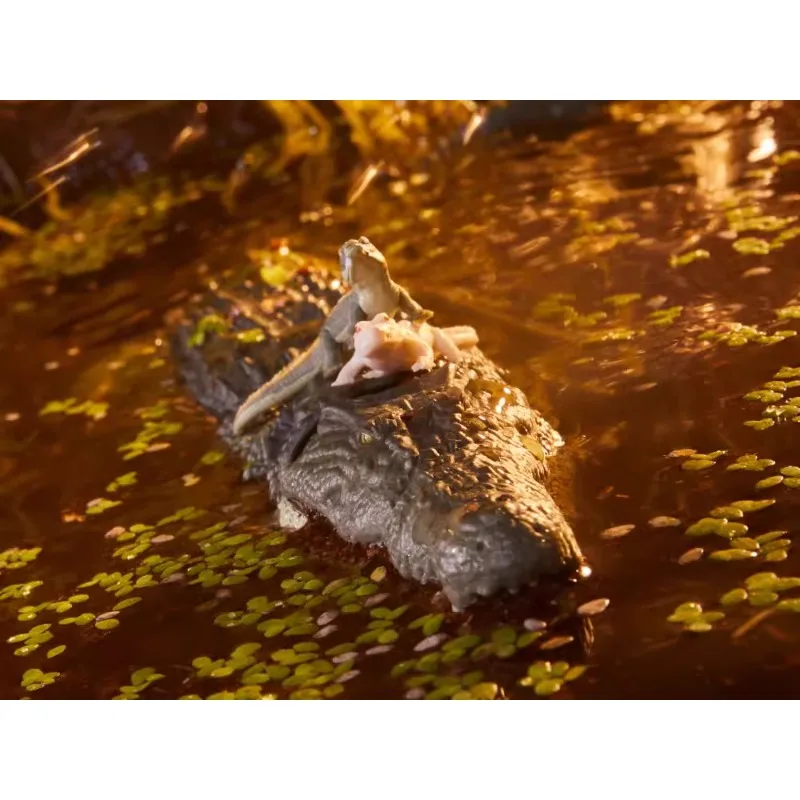 Hasbro Genuine G.I. Joe Croc Master G Fiona 6 Inches Action Figure Toys for Boys Girls Kids Gift Collectible Model Ornaments