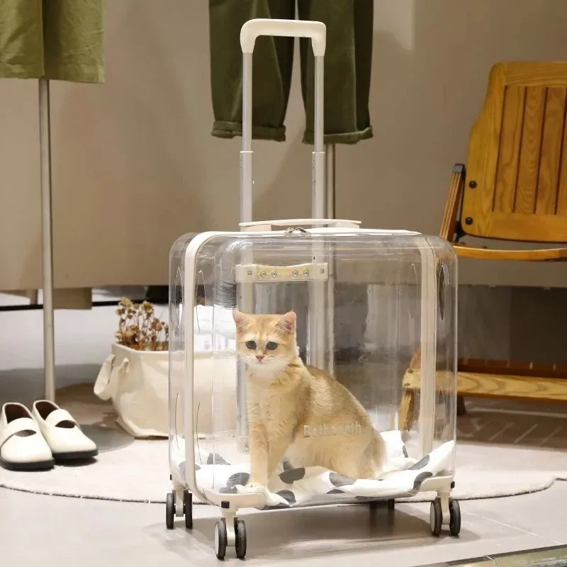 Pet Trolley Suitcase Carrier Transparent for Cats and Small Dogs Design Outdoor Pet Transport Travel Accessories Pet Products