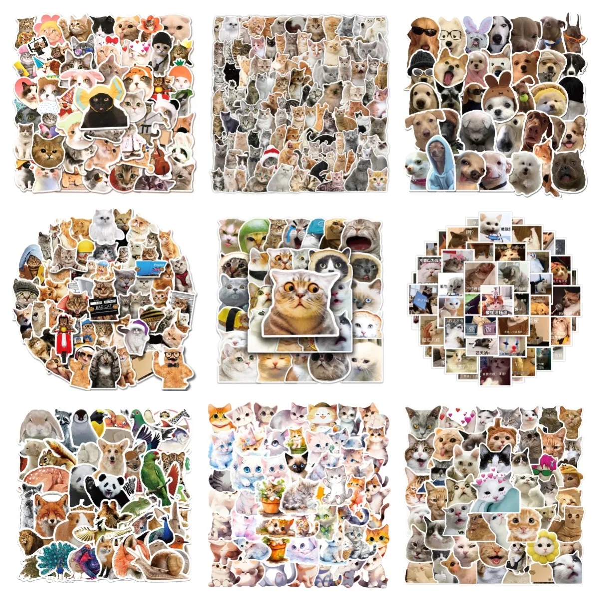 10/30/50PCS Realistic Cute Cat Stickers Funny Animal Luggage Guitar Car Computer Waterproof Personalized Stickers Wholesale