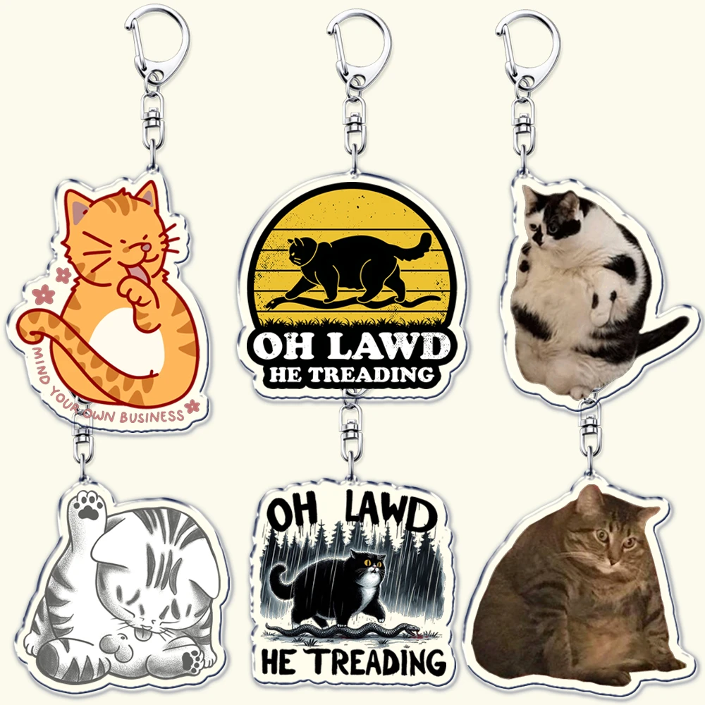 Fun Oh Lawd He Treading Keychains for Accessories Bag Funny Black Cat Meme Animal Pendant Keyrings Jewelry Fans Friends Gifts