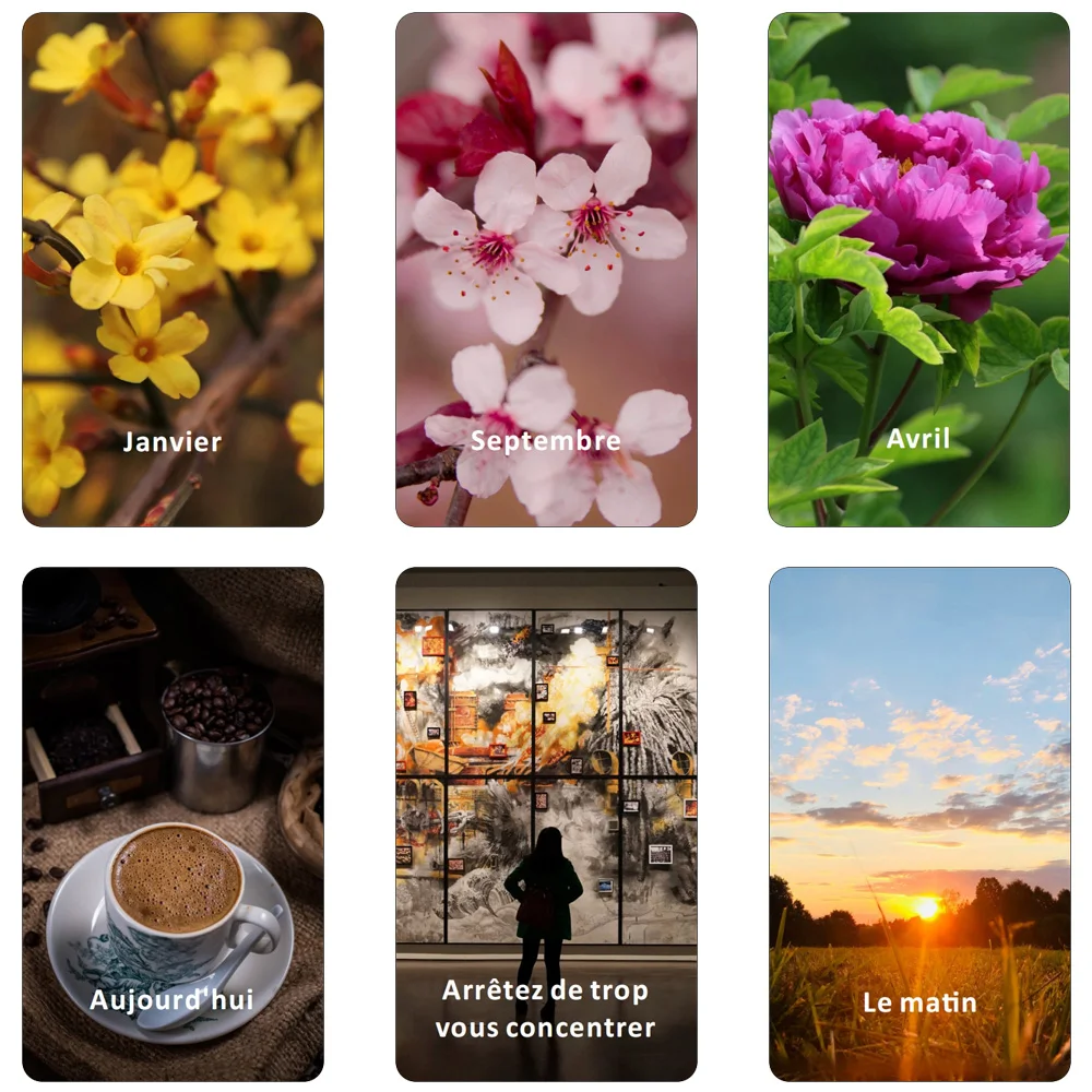 French Oracle Cards, Time Tarot Cards, Divine Timing Oracle Cards, Answers to Your Timing Related Questions, 12x7cm, 54-Cards