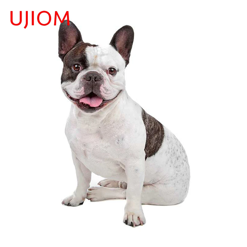 Ujiom 13Cm X 8.3Cm …