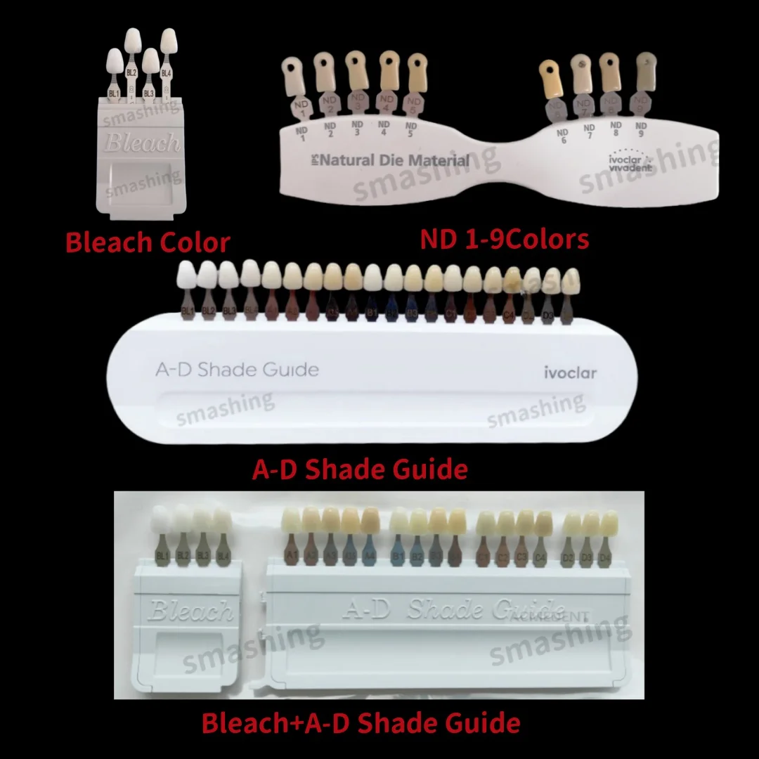 4Types Dental Shade Guide A-D Natural Die Porcelain Teeth 9/20 colors