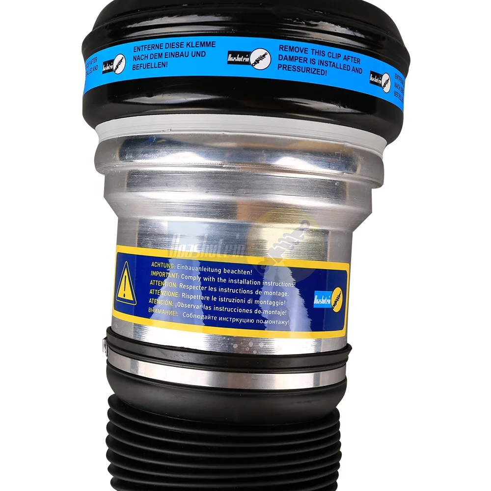 Air Suspension Front Air Shock Suspension Systems for Mercedes-Benz  S-Class W220  Front LR With ADS 2203202438