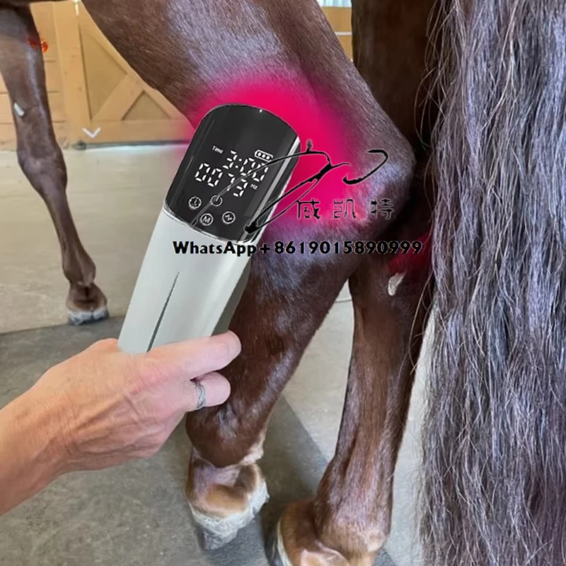 

Horse Hock Back Muscle Inflammation Recovery Red Near Infrared Light Therapy Device Rechargeable Outdoor Use
