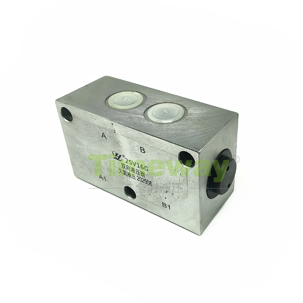 2SV16G Double-acting Hydraulic Lock Hydraulic Spare Parts Hydraulic Lock for Repair Lonking CDM6225W