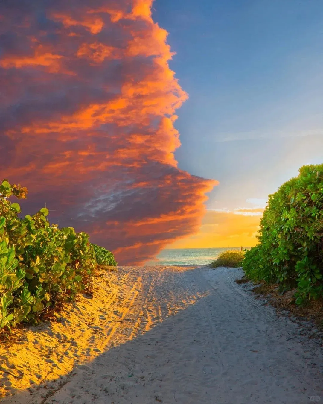 

Car Multimedia Player Stereo GPS DVD Radio Navigation Android 13 Screen System For Lexus LX 470 LX470 J100 2006~2011 Head Unit