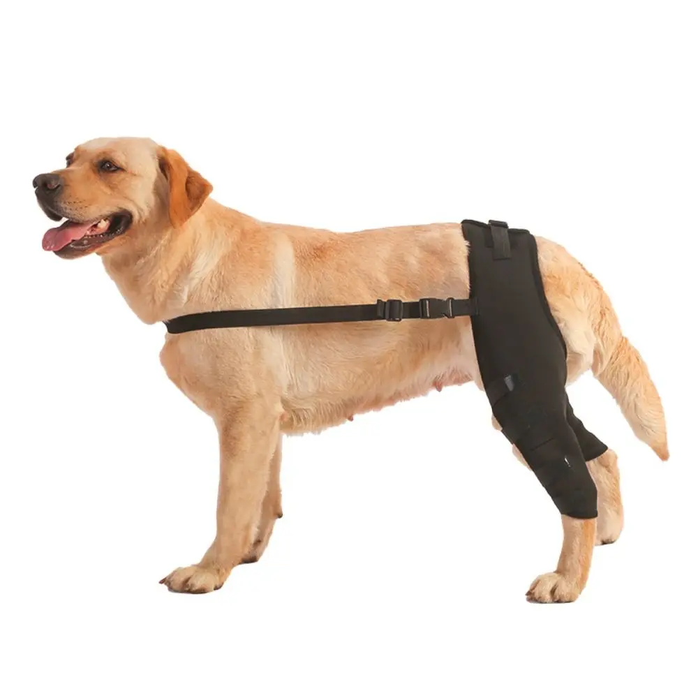 Joint Injury Recovery Pet Knee Pad Knee Hip Joint Protect Torn Hind Leg Brace Wrap Belt 4Size Cloth Legs Protector Pet