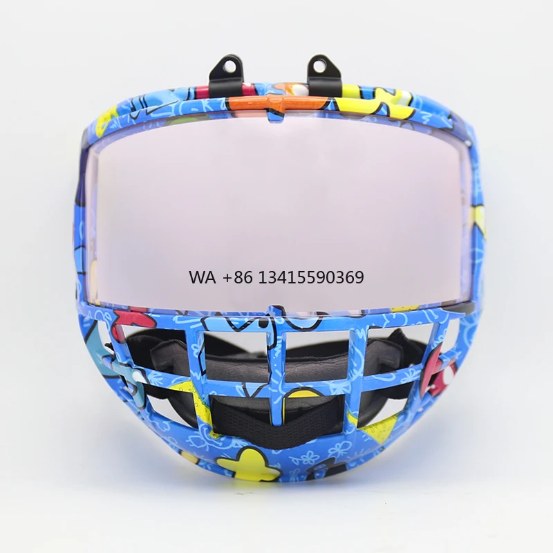 

Professional Junior Ice Hockey Protective Gear Replaceable Goggles Visor with Junior Ice Hockey Equipment
