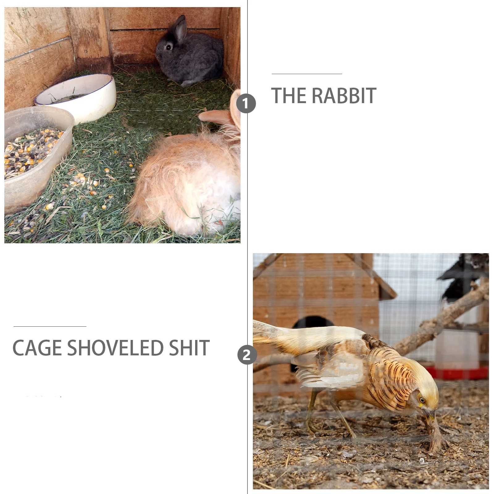 

2Pcs Reptile Sand Shovels Plastic Durable Mesh Shovels for Reptile Excrement Cleaning Dirt Removal Tools