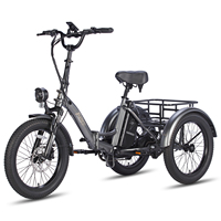 FAFREES F20 Mate Electric Cargo Tricycle Adult Folding Electric Tricycle 750W 48V18.2 Ah Hydraulic Disc Brakes Full Suspension