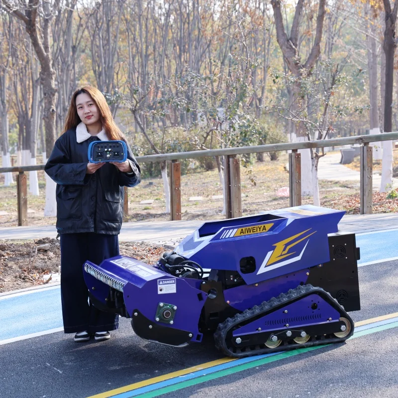 Customized Multifun…