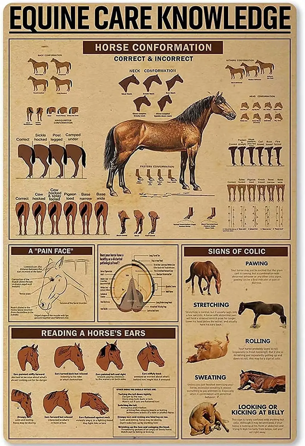 Letrero Metálico de Pared con Temática de Cuidado Equino y Conformación del Caballo, para Hogar, Cabaña, Club, Tienda, Bar, Garaje, Cafetería, Granja