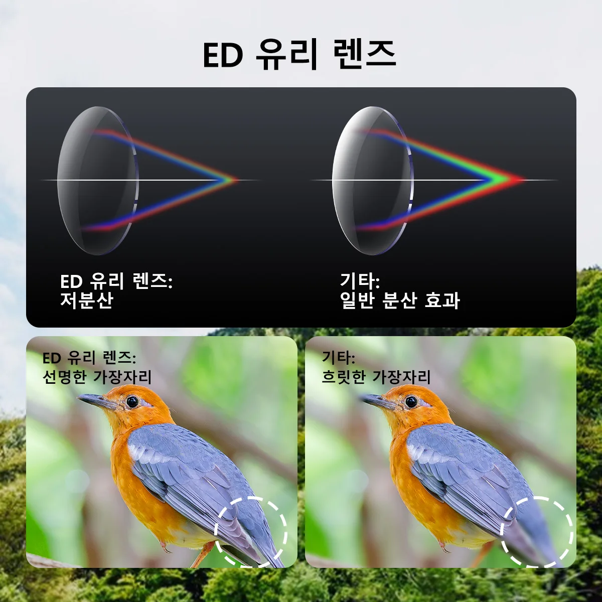 Svbony SV202 업그레이드된 광각 ED 쌍안경 8x32/8x42/10x42 Bak4... - 2