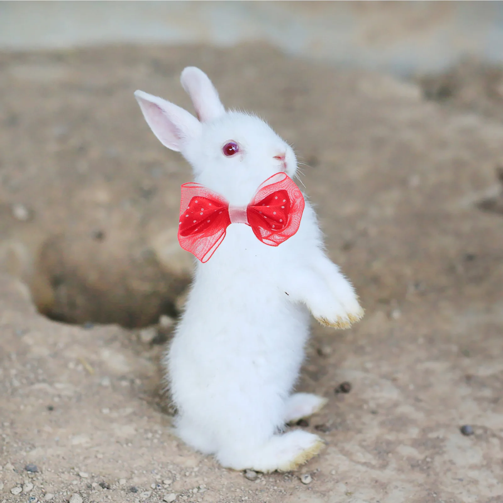 

1Set Christmas Small Animal Costume Pet Hat Scarf Bow Tie Holiday Party Accessories Xmas Pet Outfit Xmas Hamster Hats