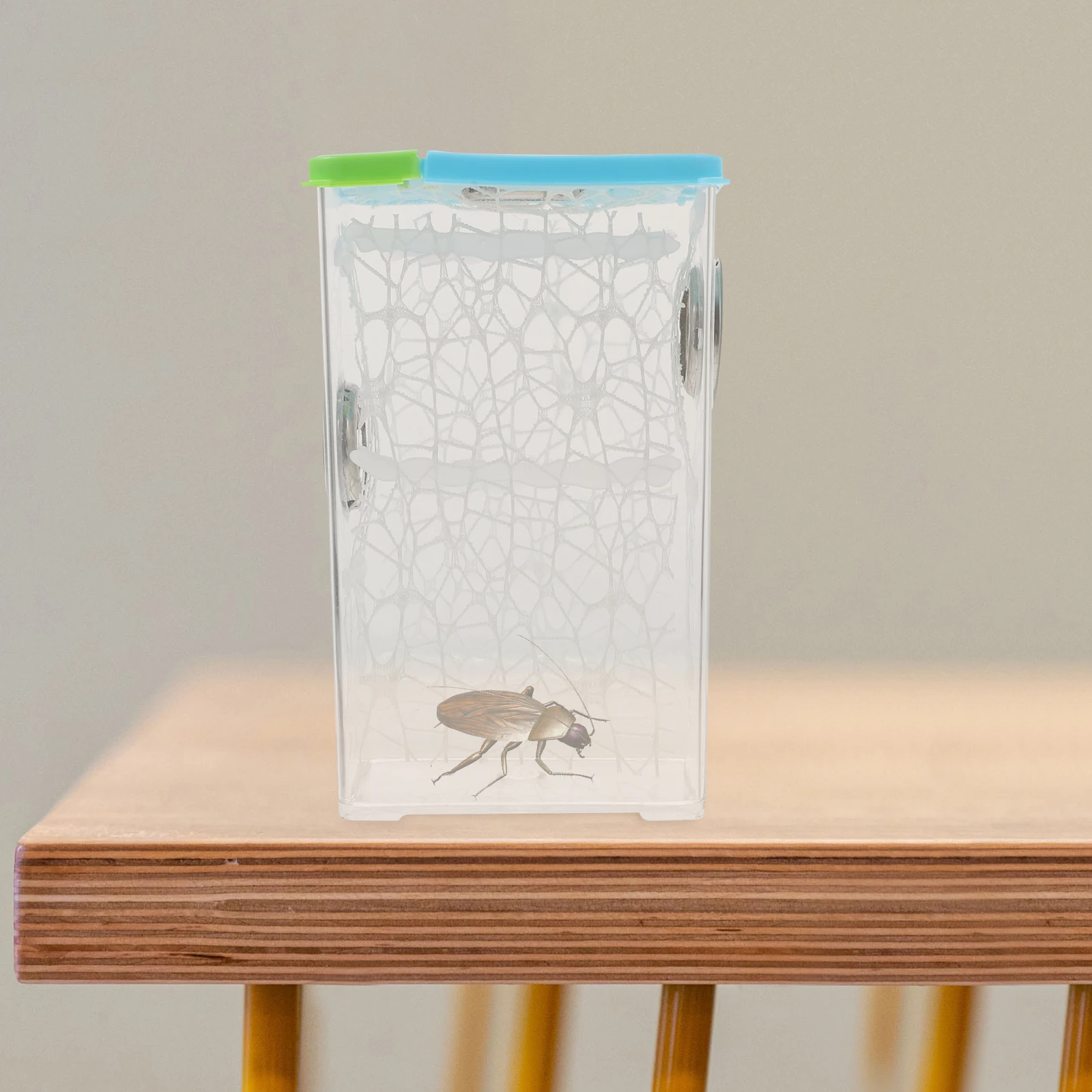 

Compact Spider Reptile Breeding Box Geckos Tank Transparent Lid Easy Clean Terrarium Indoor Small Pet Habitat Stackable