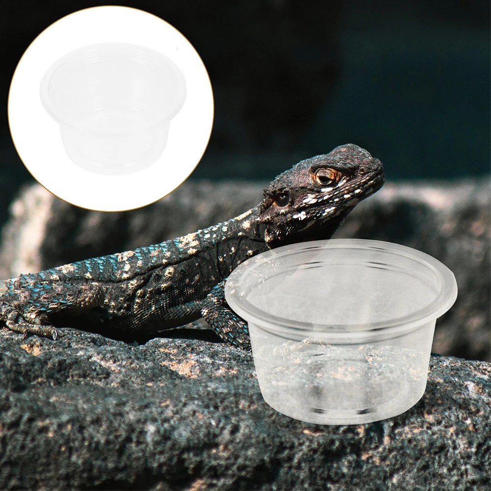 

30Pcs Gecko Feeder Cups Set for Reptile Food and Water Bowl Small Pets Lizard Snake Spider Tank Accessories Supplies