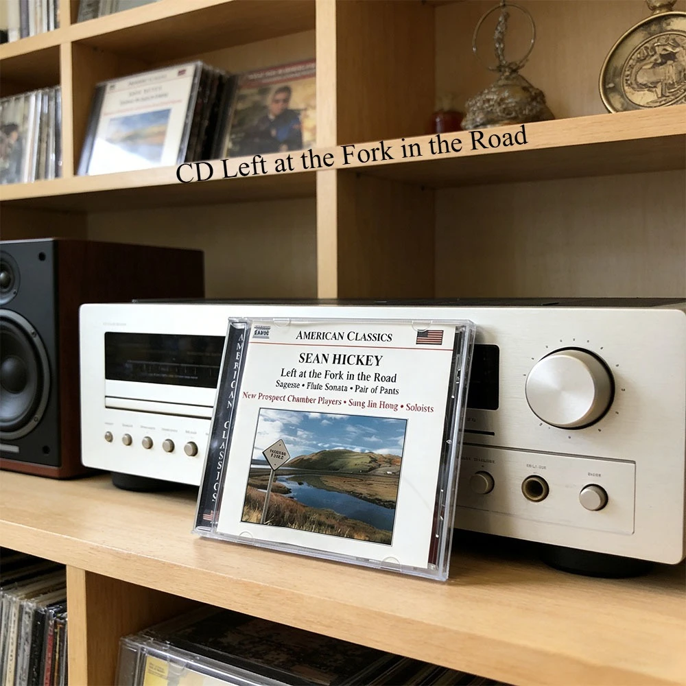 

CD "Left at the Fork in the Road" — это работа Шона Хикки и важное издание в серии "Американские классики" от Naxos Records.