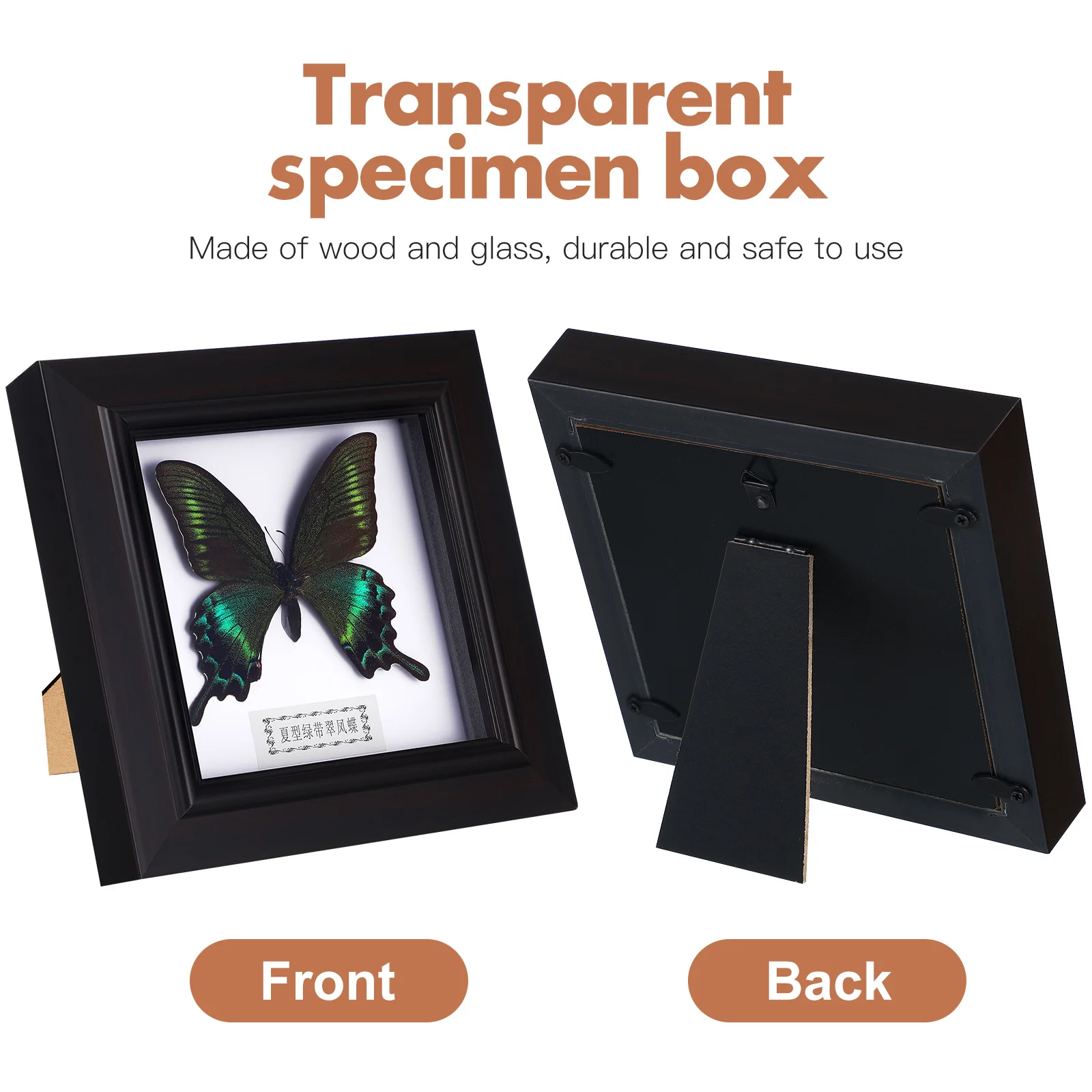 

Simulated Butterfly Specimen Frame Exquisite Wall Art Decor For Home Office Desktop Display Specimen Pendant Wall Hanging