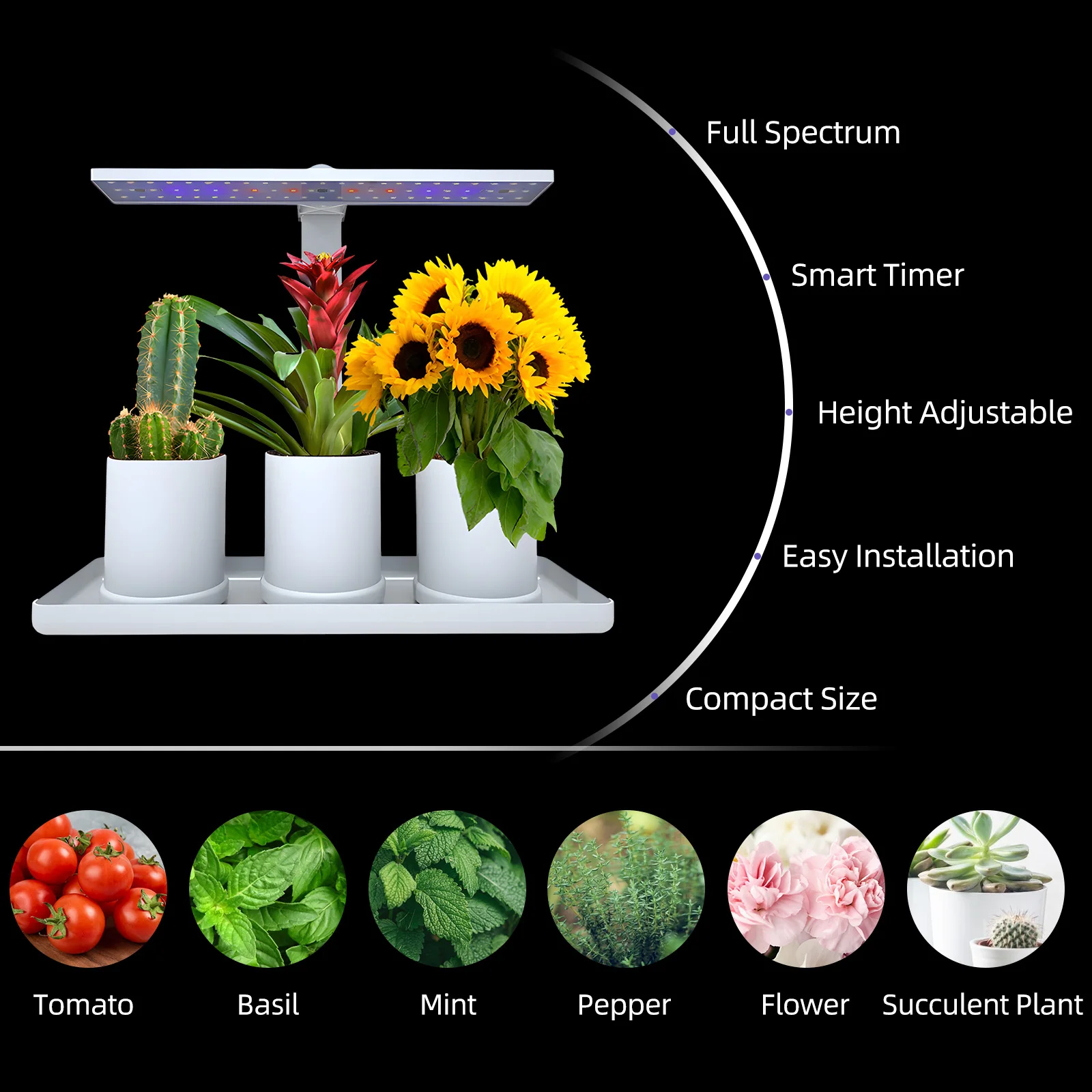 Imagem -03 - Desk Led Full Spectrum Plant Light Crescer Luzes para Plantas de Interior Altura do Temporizador Brilho Regulável Ajustável para Mudas