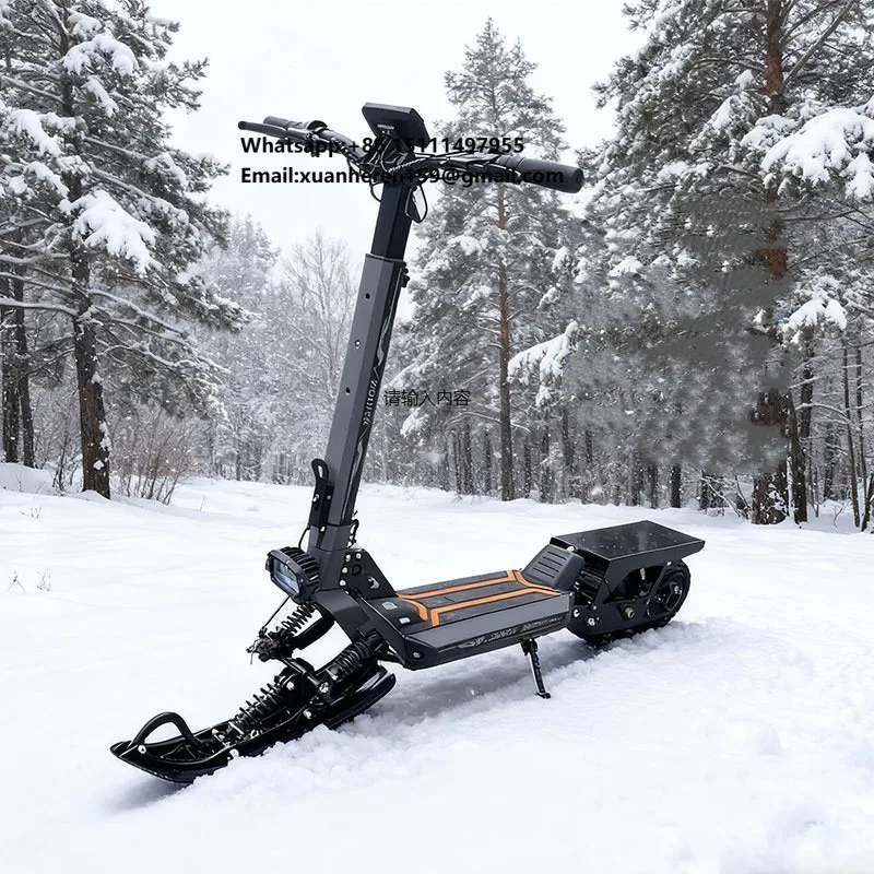 

3 in 1 Electric Snow Scooter for Adults High Quality 800w 11inch Wheels Electronic Smart Type for Snowboarding