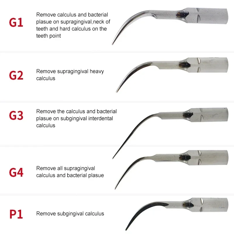 5PCS Dental Ultrasonic Toothbridge Working Head G1 G2 G3 G4 P1 WOODPECKER & EMS Scraper Gingival and Subgingival Cleaning Tools