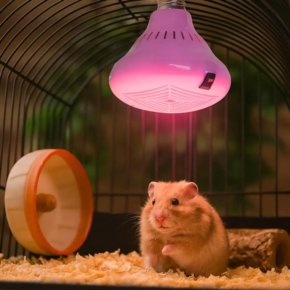 E27 Socket Animal H…