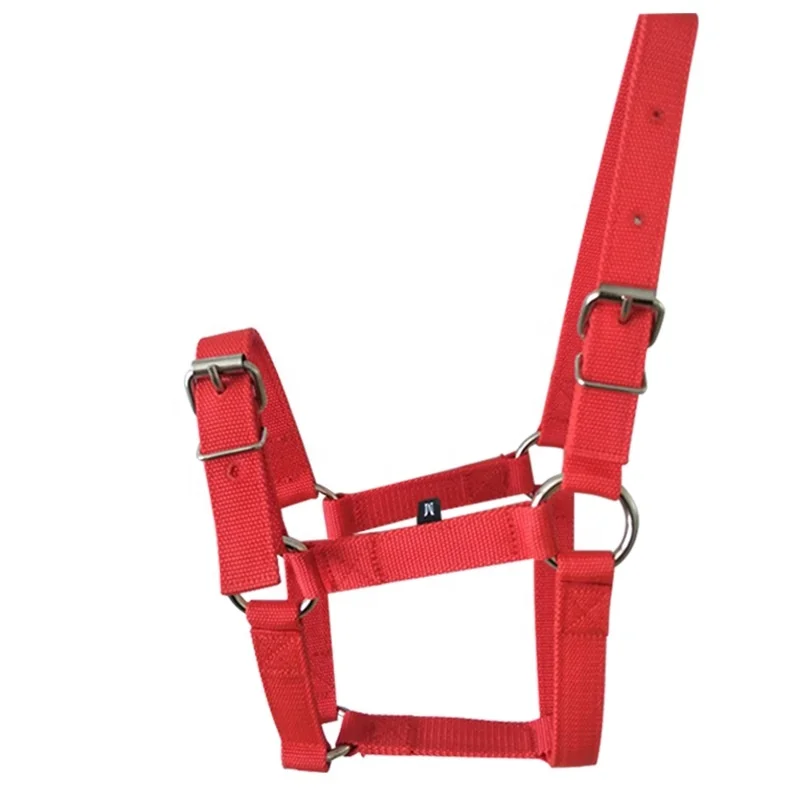 

Horse Equestrian Adjustable Nylon Horse Bridle Halter Classic Colors Available Durable for Daily Riding and Training