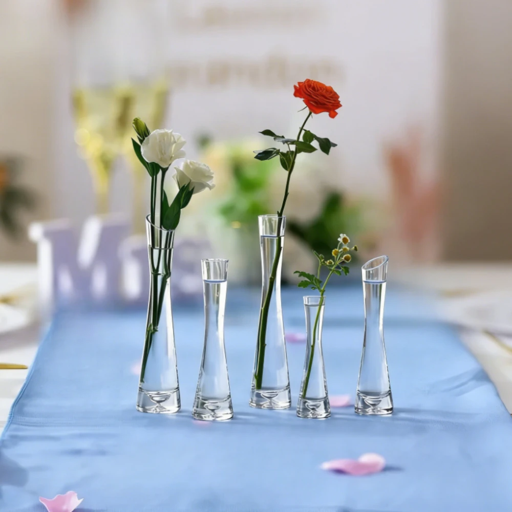 Набор из 3 прозрачных стеклянн – обзор и цена Tissue Culture Plant