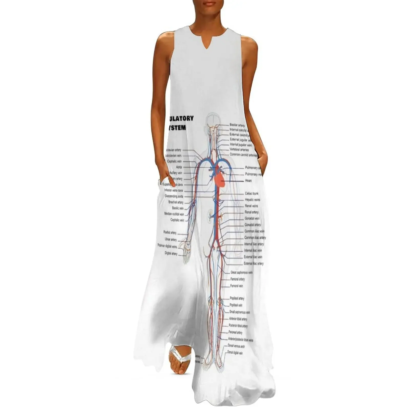 

Human Circulatoy System Chart Long Dress womens clothing summer dress womens 2025 Dress