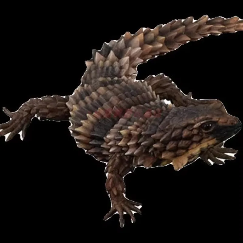 สารานุกรมชีวภาพของแท้ Bandai, รุ่นพิเศษ, จิ้งจก Armadillo, ตุ๊กแกเสือดาว, รูป, โมเดล