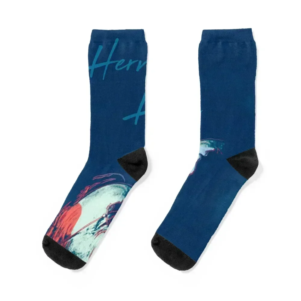 

Hermann Hesse Socks Stockings man men cotton high quality custom sports cool Woman Socks Men's