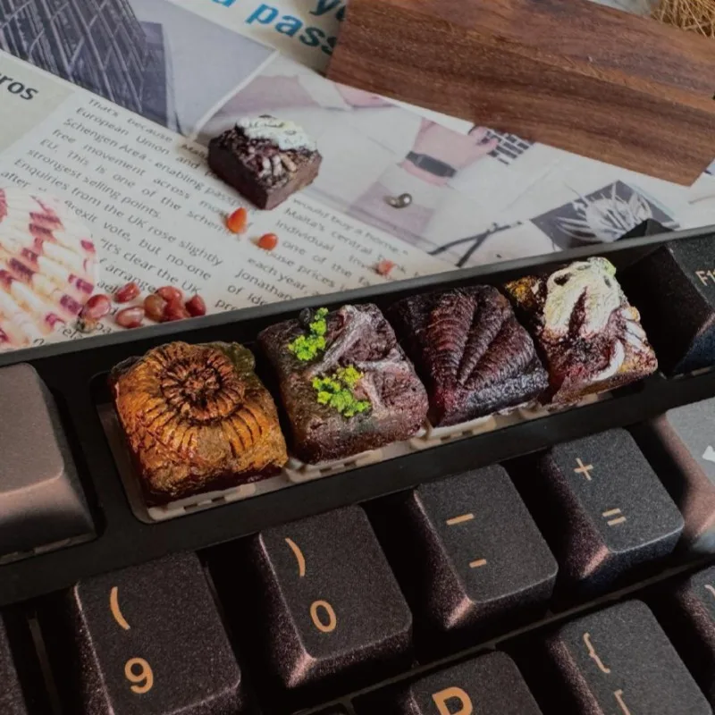 Fossil Museum Theme Keycap 3D Resin Customized Creative Keycap for MX Cross Switch Gaming Mechanical Keyboard Accessories Gifts