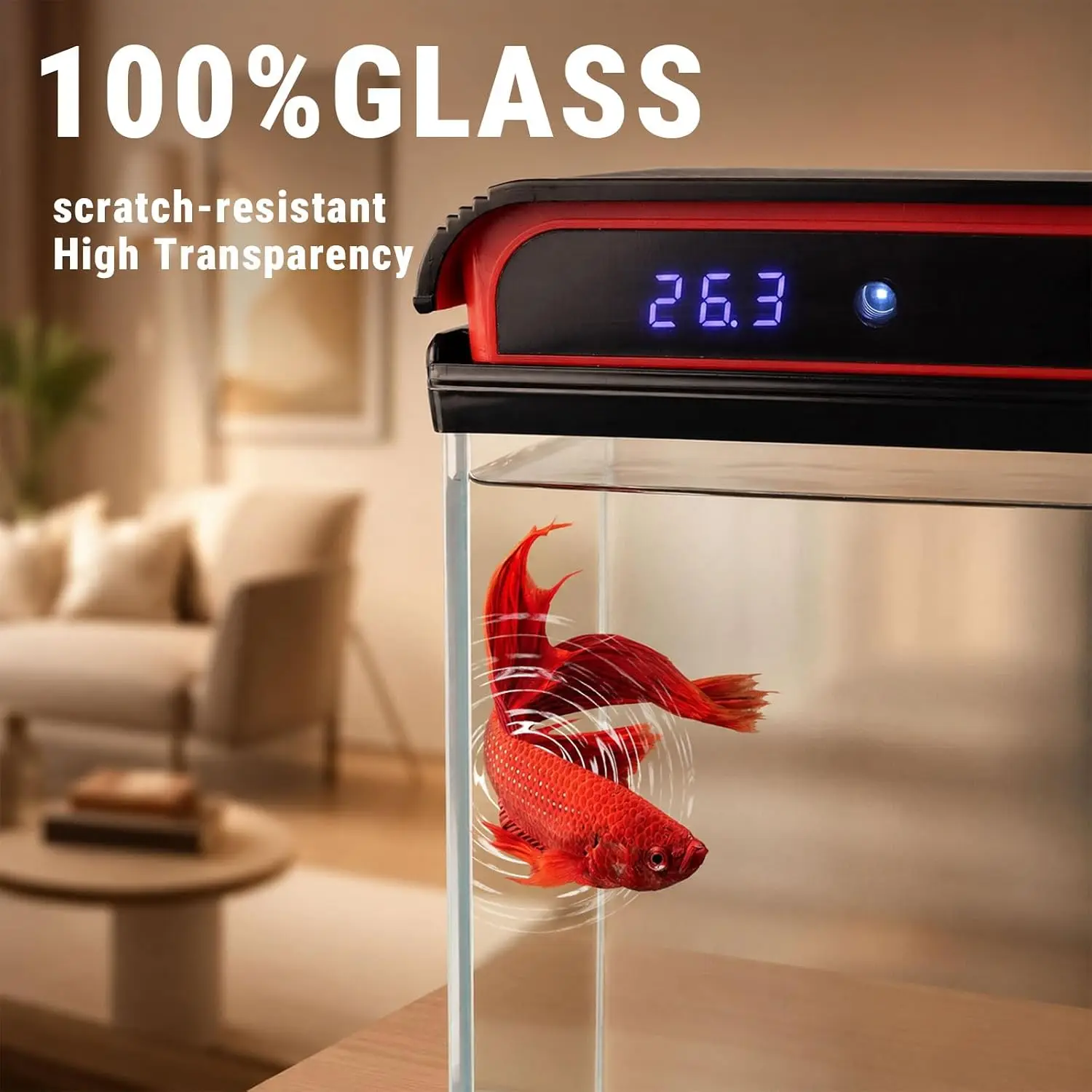 5 Gallon Fish Tank, 100% Glass Betta Small Fish Tank, Self-Cleaning Water Pump & 3-Color Light with Water Temperature