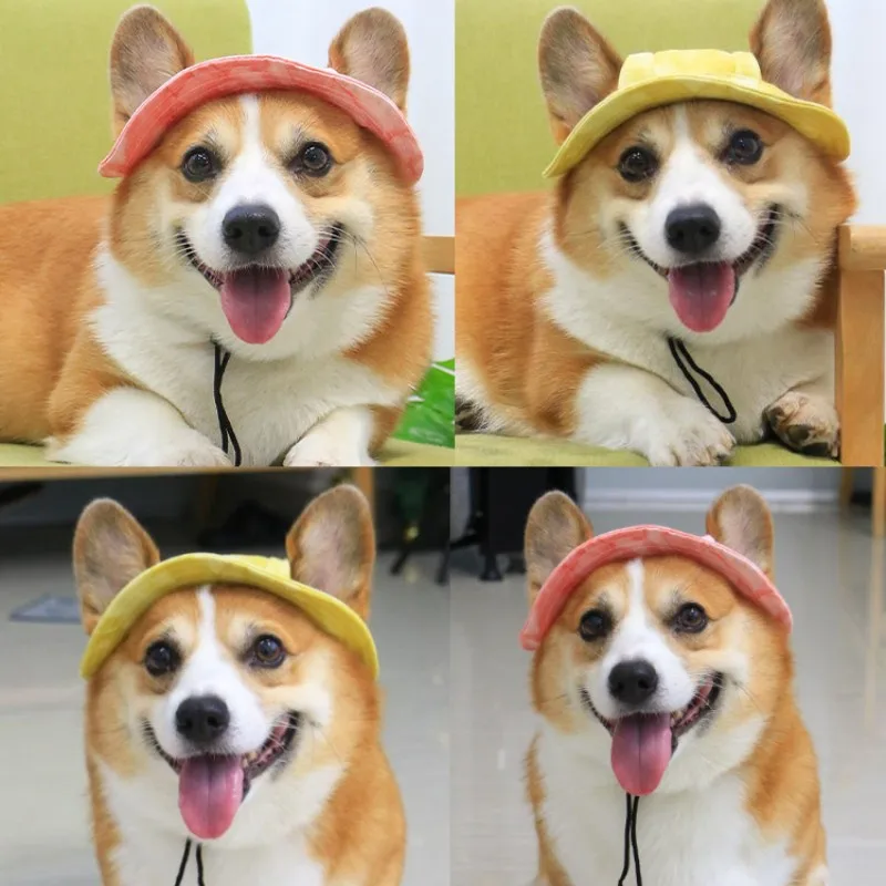 

Adjustable Dog Hat Summer Shade Breathable Baseball Cap For Small Dogs Pet Hats With Ear Holes Outdoor Hiking Pet Accessories