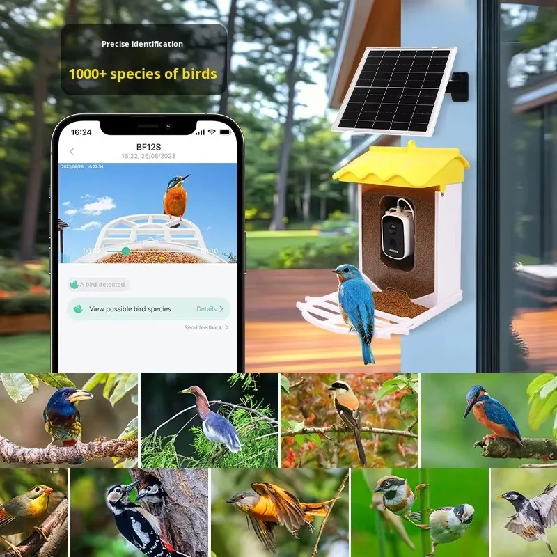 Smart Bird Feeder Solar Powered Outdoor Waterproof ABS Material Remote  Camera Bird Watching Hanging for Birds