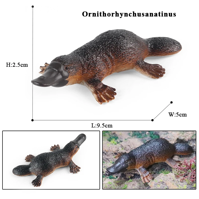 Oenux 클래식 호주 야생 동물 시뮬레이션 캥거루 코알라 Wombat 모델 액션 그림 입상 교육 장난감 아이를위한