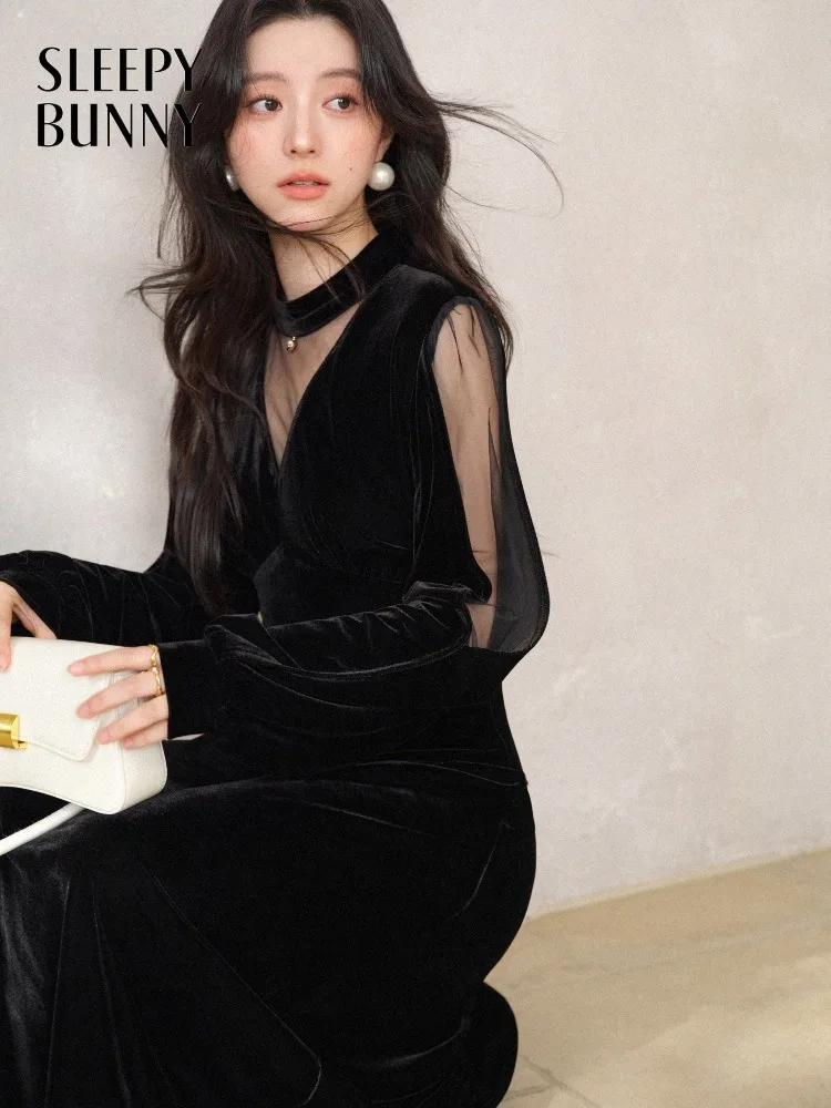 

Elegant Velvet Long Dress Women Lady Slim V-Neck Sheer Mesh Maxi Dress Long Sleeve Chic Formal Daily Occasion Outfit Style Wear