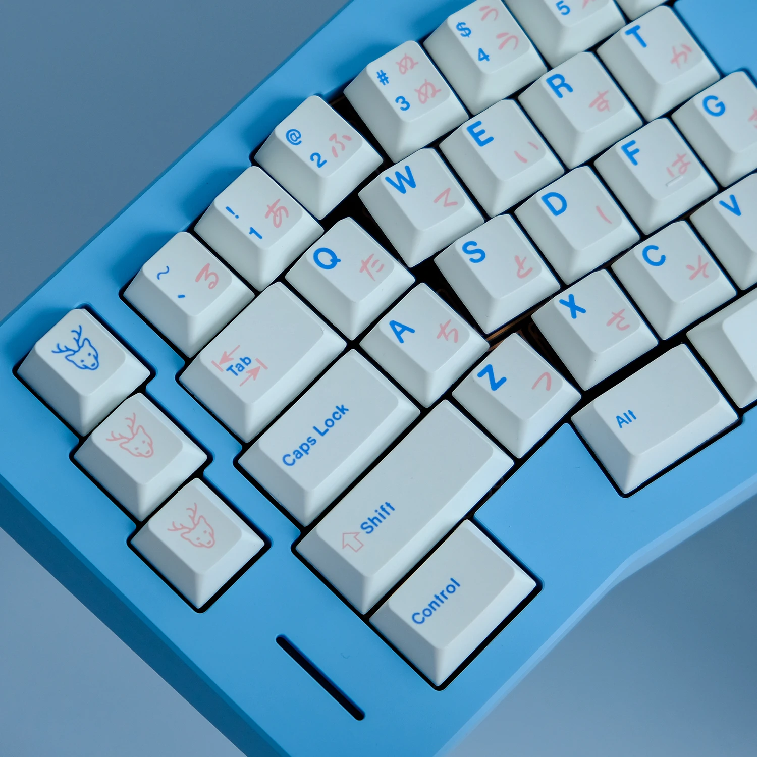 thumb