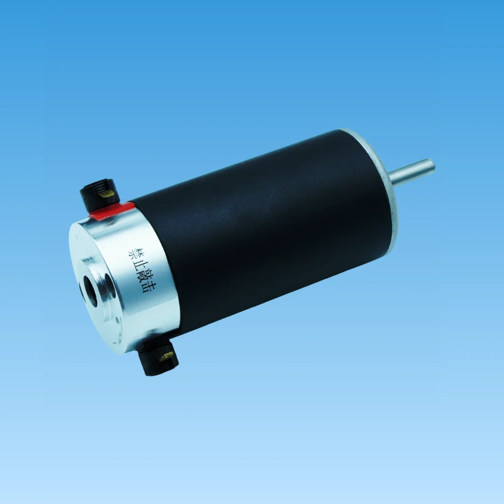 X-Axis Carriage Motor 24V DC Servo Drive for Senyang Control System, Robust Replacement Motor for Wide Format Chinese Branding P