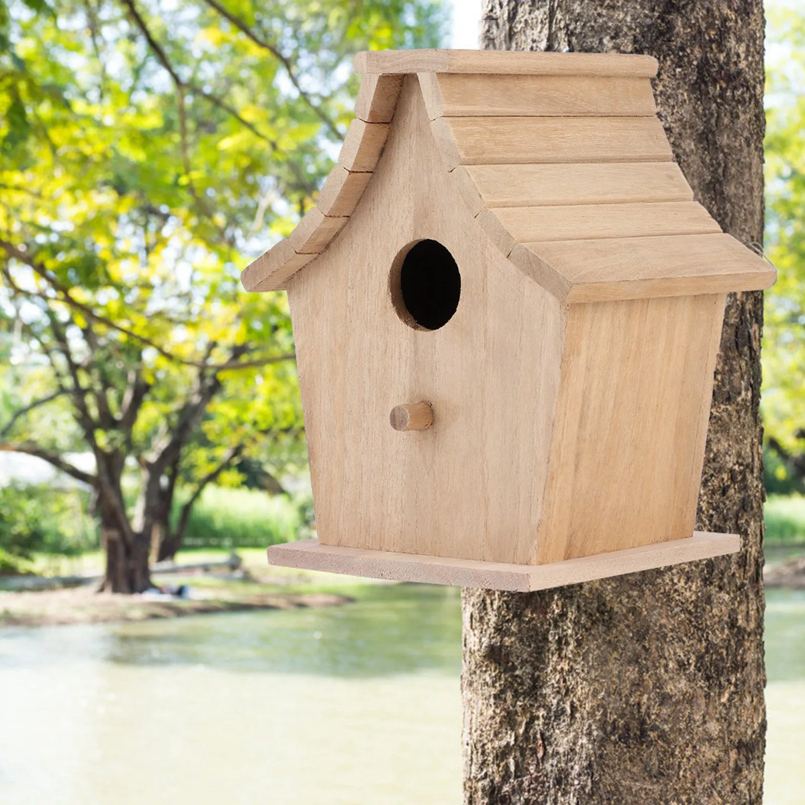 #81 Best Bird Supplies to Buy In 2026