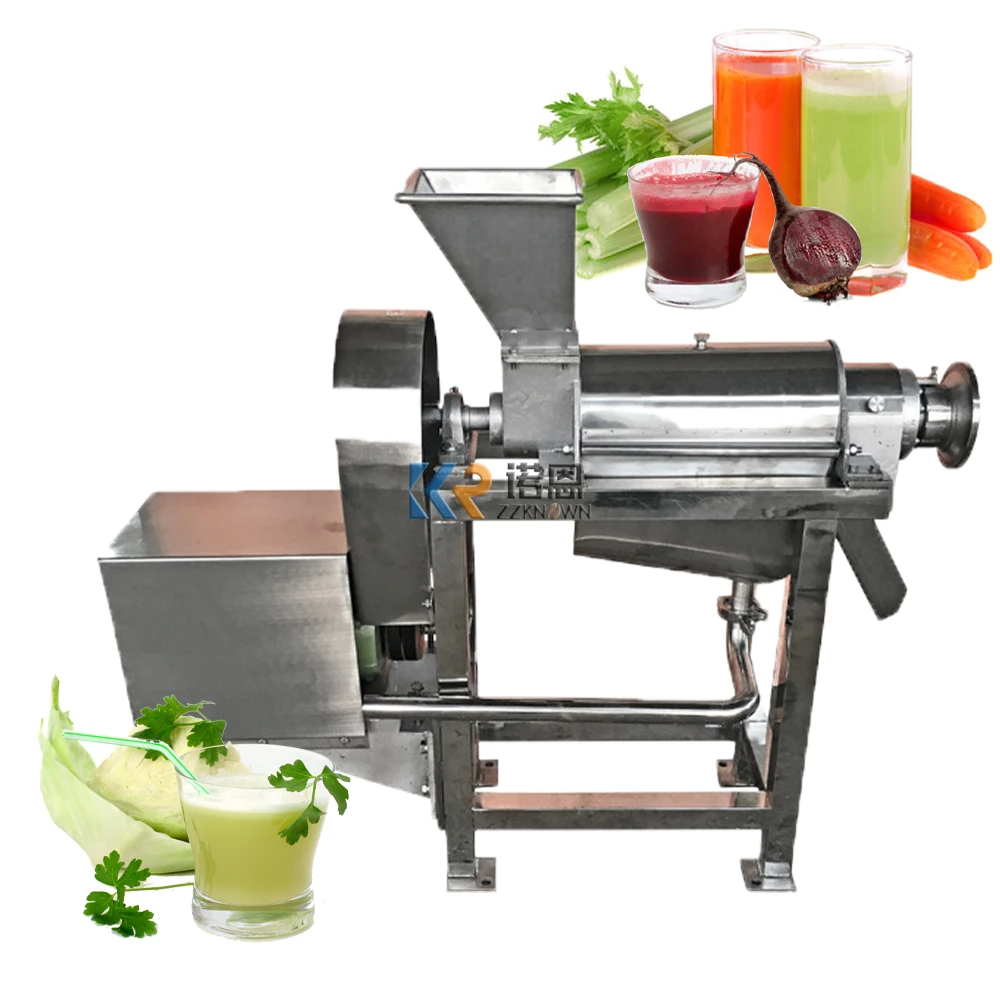 Commercial Juicer Maker Machines Industrial Apple Pineapple Lemon Orange Extractor Machines Juicer Stainless Steel Material