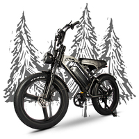 V20 Max Cheap Electr Bike Price Enduro Ebike Eu Stock 250w Fat Tire E Bike V20 Fatbike Electric Bike V20