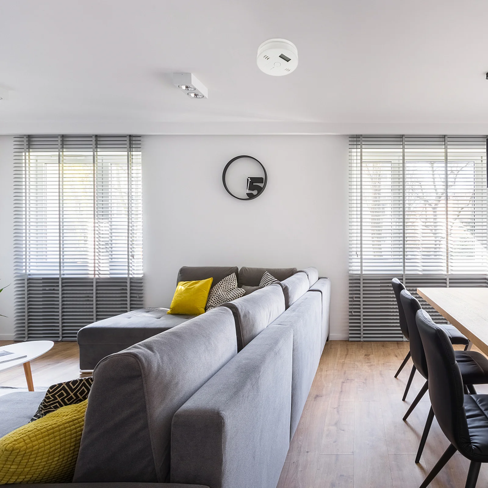 

Professional Co Detection Tool Reliable Stability LCD Display Home Protection 1Pcs Carbon Monoxide