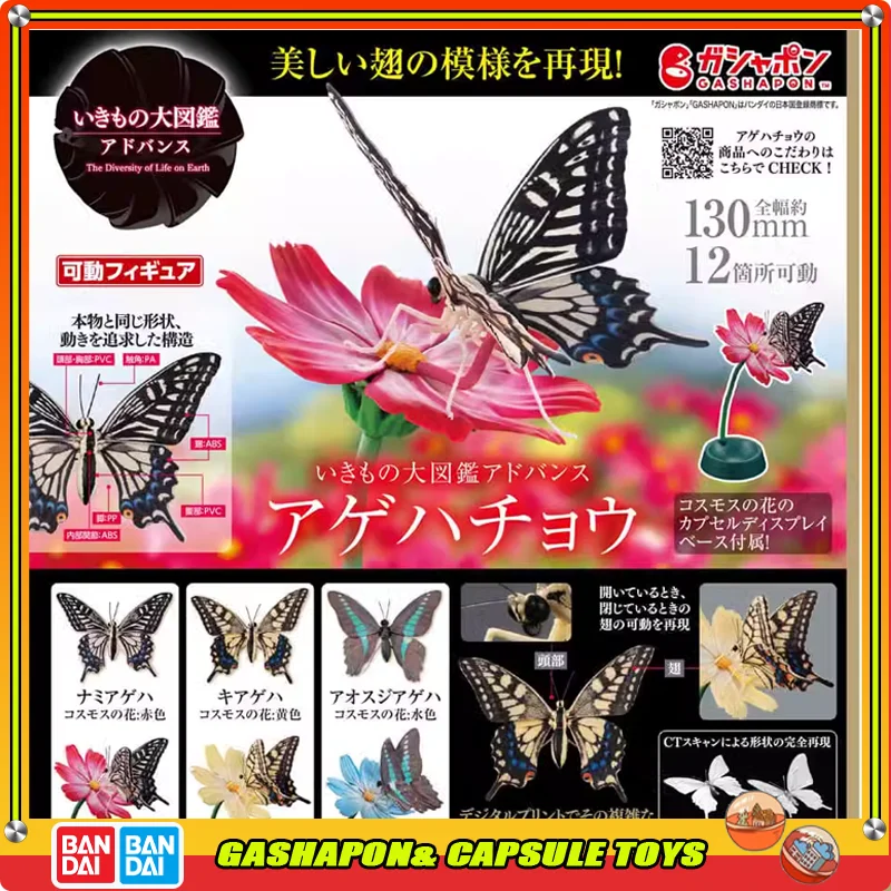 

BANDAI Biological Encyclopedia Action Figures Model Butterfly Golden Phoenix Butterfly Gashapon Official Genuine Collect