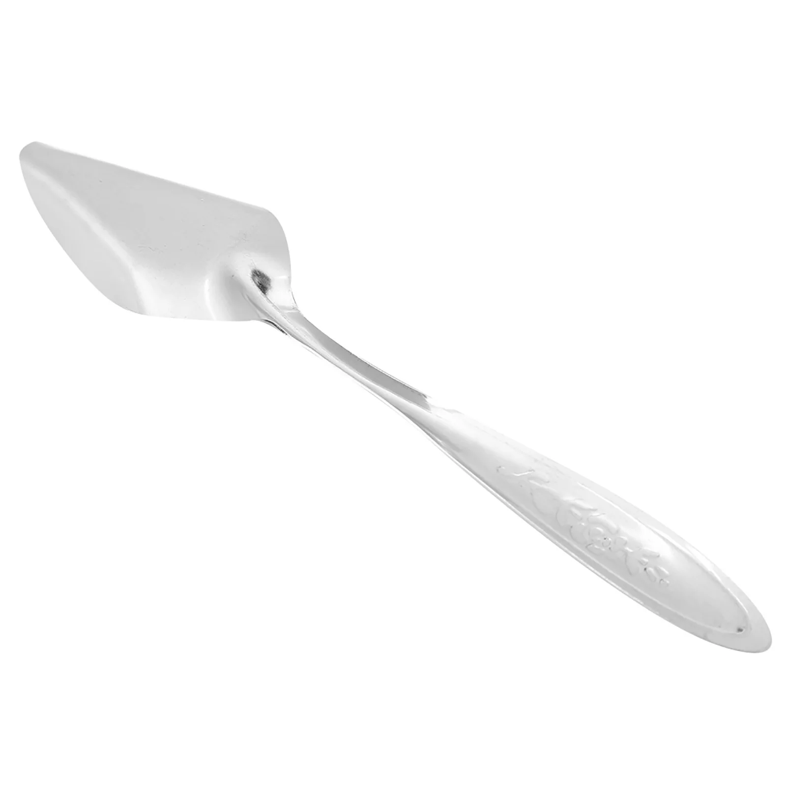 5Pcs Parrot's Milk Powder Spoon Stainless Steel Pet Birds Feeding Spoons for Small and Medium-sized Parrots