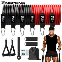 Multi Functional Resistance Exercise Set, Tension Rope, Fitness Tension Belt, Elastic Rope, and Portable Fitness Equipment