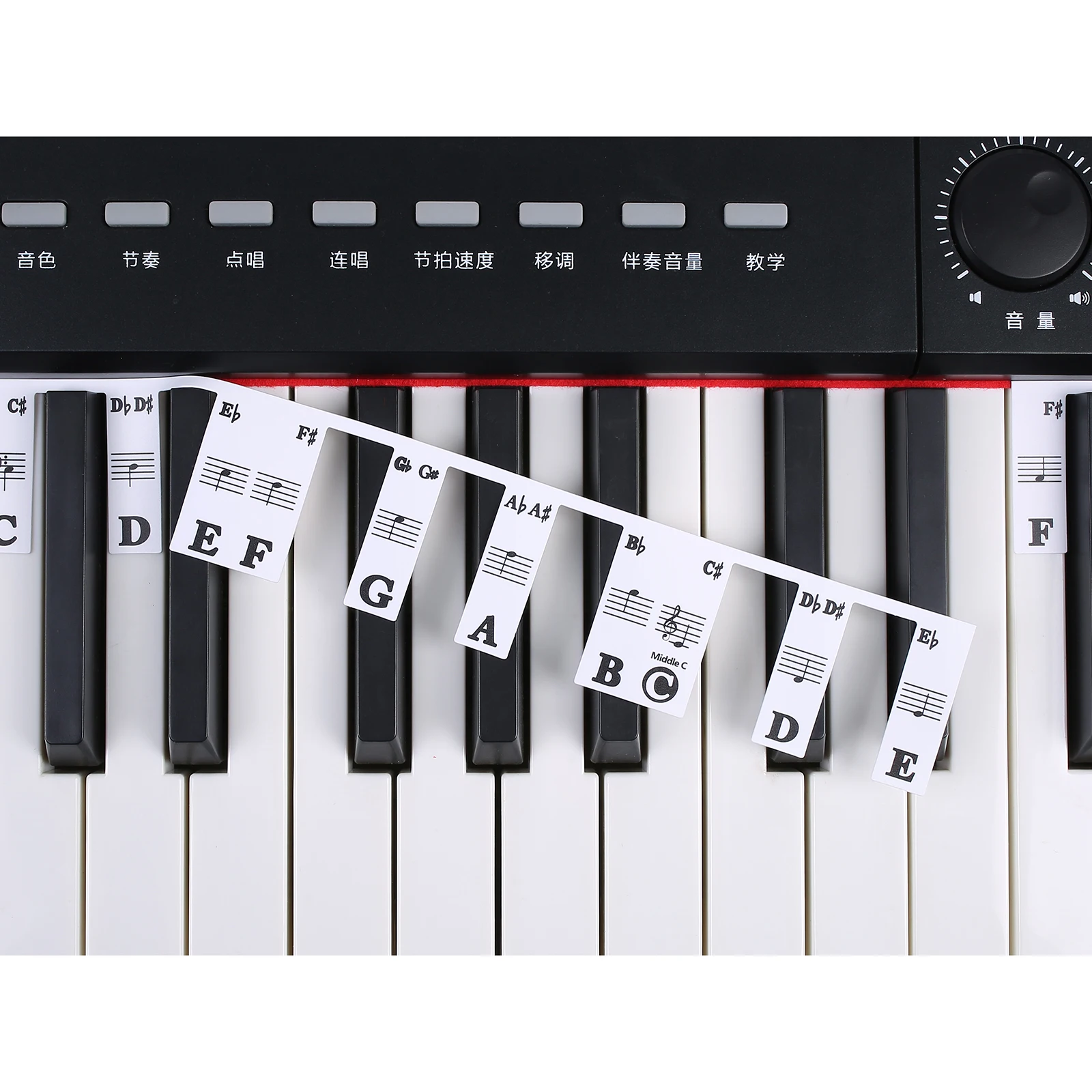 Piano Keyboard Note Labels 88 Keys / 61 Keys Removable Piano Notes Guide For Beginner Music Notes Sticker